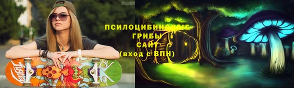 трава Бородино