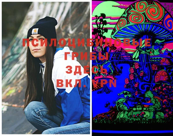 трава Бородино