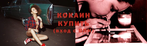 стафф Бронницы