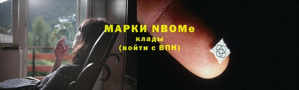 стафф Бронницы