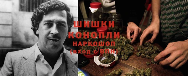 трава Бородино